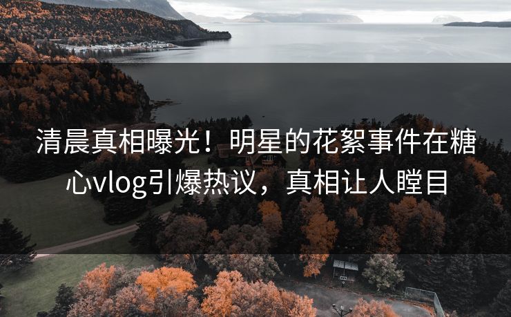 清晨真相曝光！明星的花絮事件在糖心vlog引爆热议，真相让人瞠目