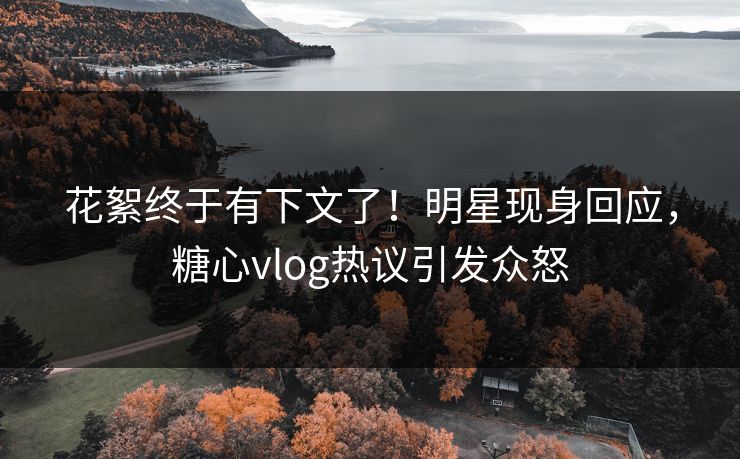 花絮终于有下文了！明星现身回应，糖心vlog热议引发众怒