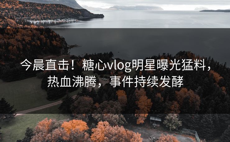 今晨直击！糖心vlog明星曝光猛料，热血沸腾，事件持续发酵