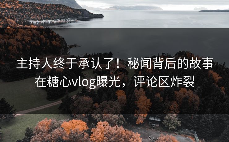 主持人终于承认了！秘闻背后的故事在糖心vlog曝光，评论区炸裂