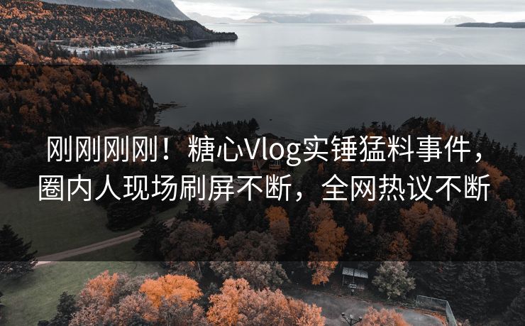 刚刚刚刚！糖心Vlog实锤猛料事件，圈内人现场刷屏不断，全网热议不断