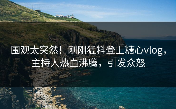 围观太突然！刚刚猛料登上糖心vlog，主持人热血沸腾，引发众怒