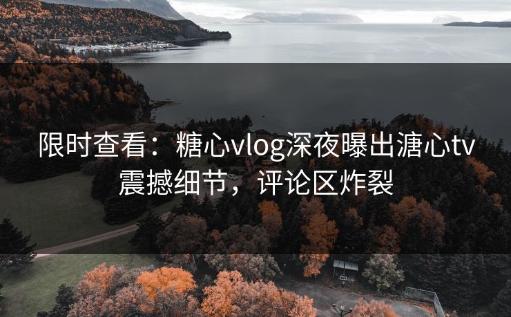 限时查看：糖心vlog深夜曝出溏心tv震撼细节，评论区炸裂